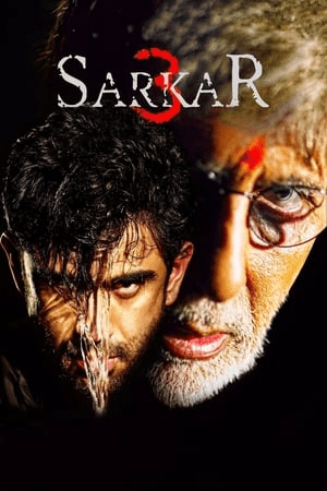 Sarkar 3 (2017) Full Movie pDVDRip [700MB] Download