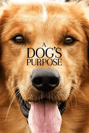  A Dog’s Purpose (2017) Full Movie HDCAM 850MB